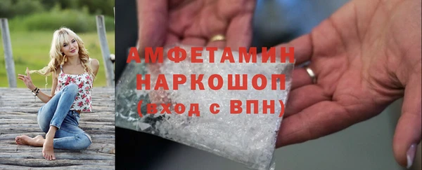 прущие грибы Вязники