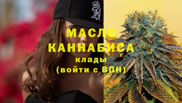 стаф Вязьма
