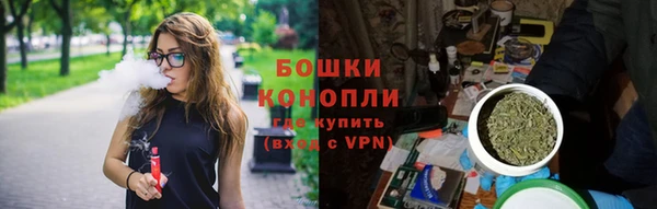 прущие грибы Вязники