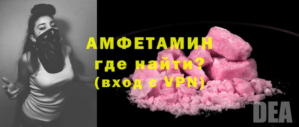 прущие грибы Вязники