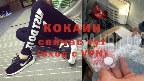 стаф Вязьма