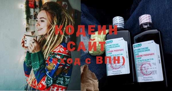 стаф Вязьма