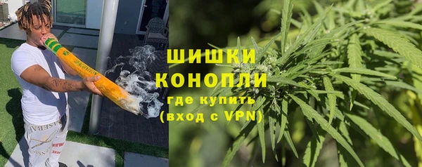 прущие грибы Вязники