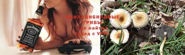 ALPHA PVP Вяземский